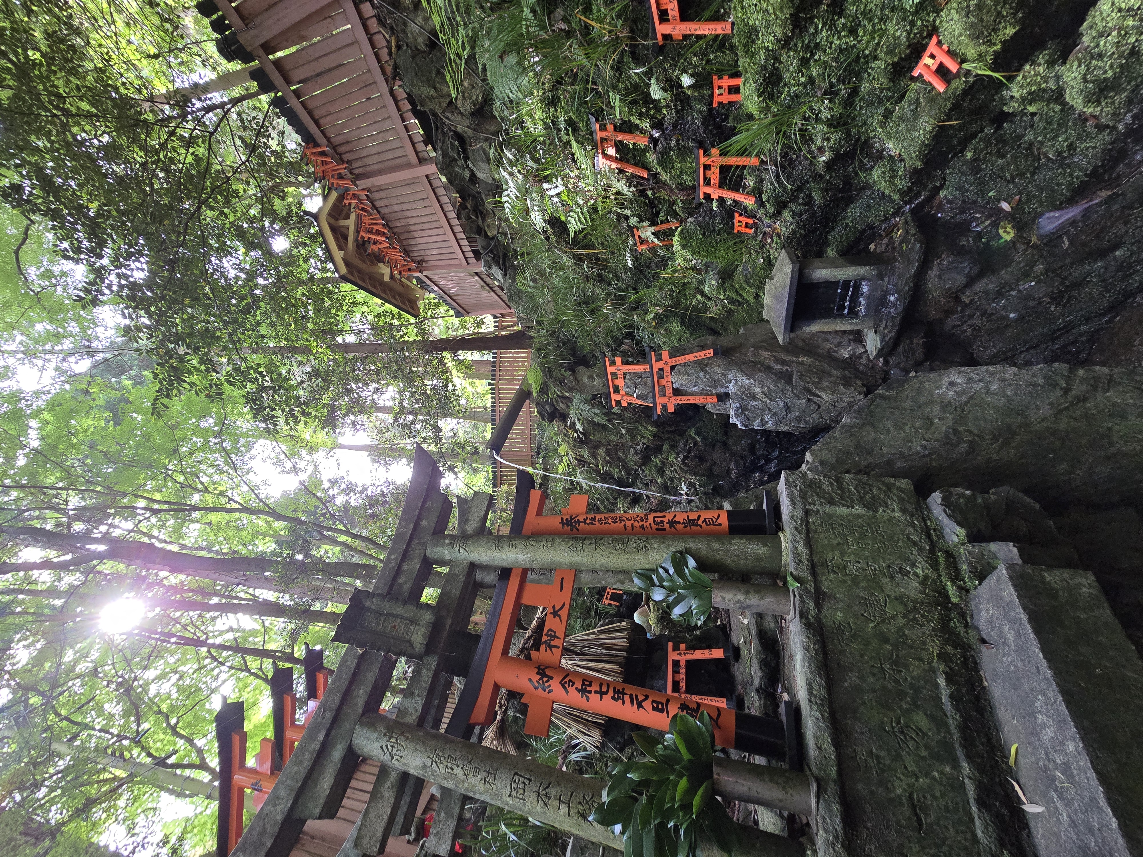 Japan 9