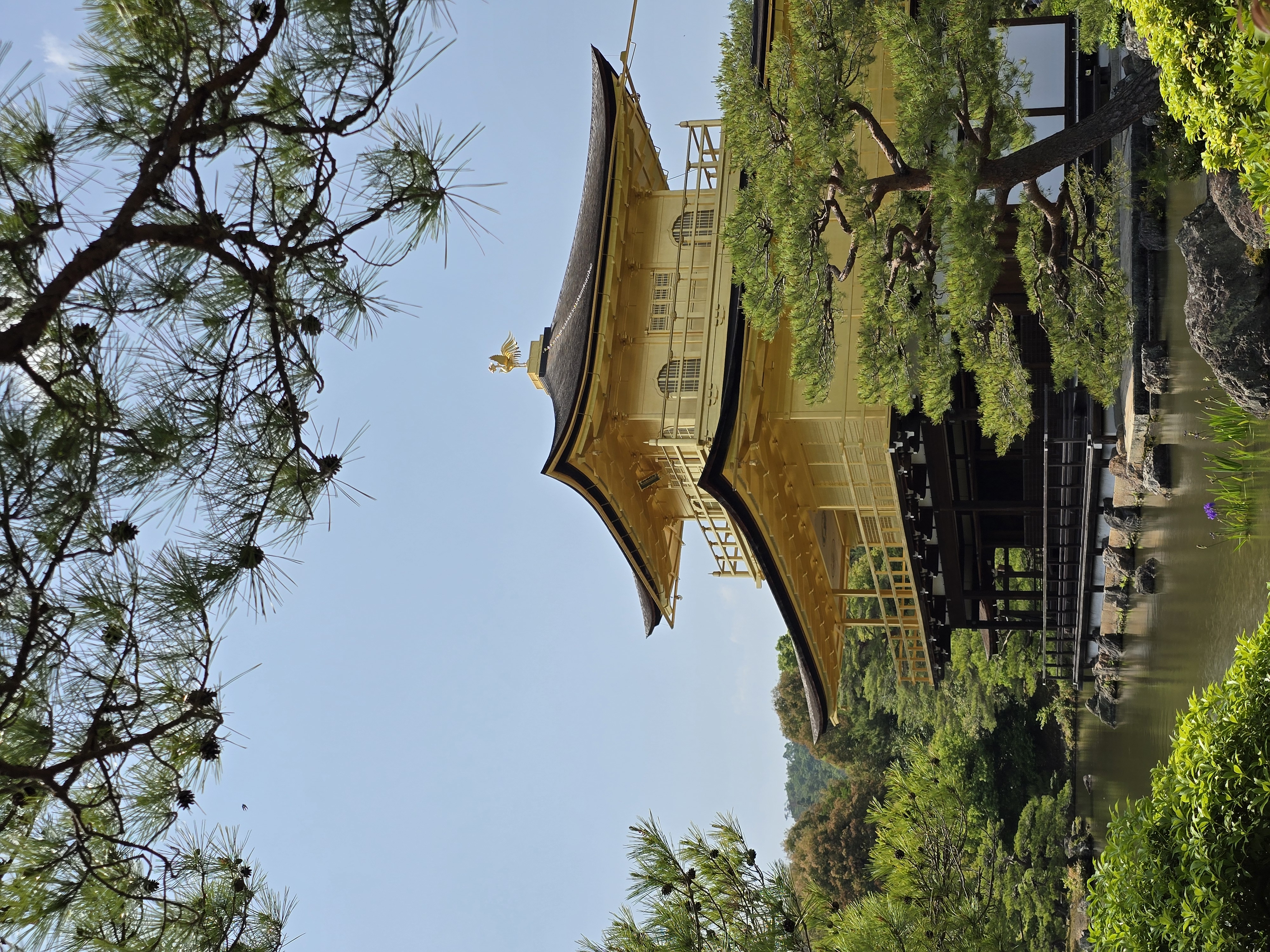 Japan 12