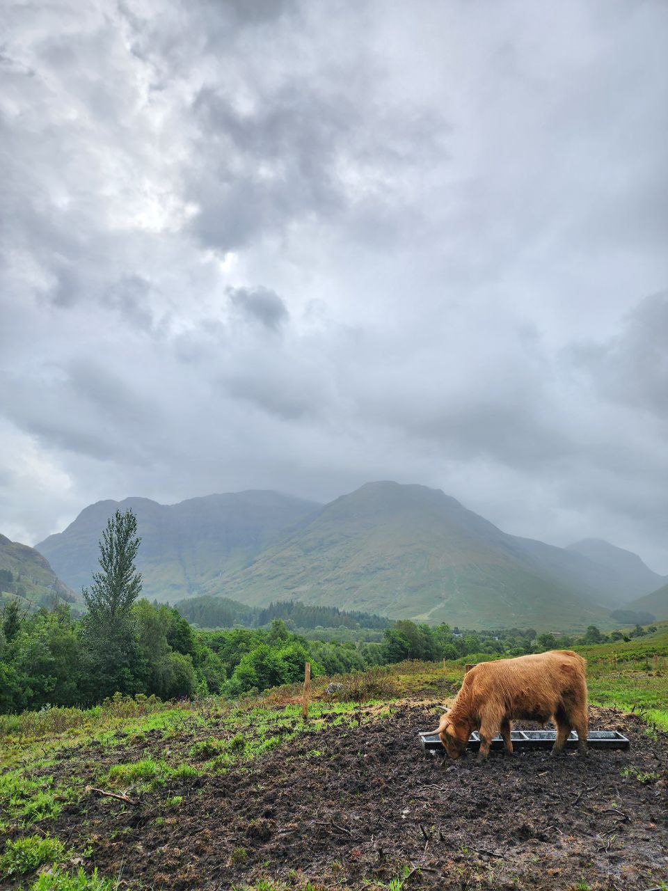 Scotland 7